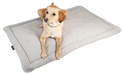 Produktbild von XXL Hundekissen mit rutschfester und waschbarer Hülle 120x80 cm