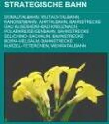 Produktbild von Strategische Bahn