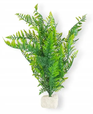 Produktbild von Aquarium Kunstpflanze XL 40 x 25 cm, mit Steingewicht, künstliche Aquariumpflanze für Dekoration und naturnahes Süßwasserbecken