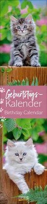 Produktbild von Geburtstags-Langplaner Cats: Immerwährender Geburtstagskalender. Wandkalender im Format 11 x 48 cm.