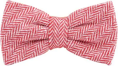 Produktbild von Karlowsky Fliege Urban-Herringbone Artikel AK 9 - rot - Einheitsgröße