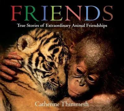 Produktbild von Friends