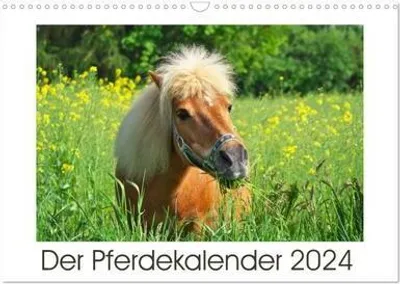 Produktbild von Der Pferdekalender (Wandkalender 2024 DIN A3 quer), CALVENDO Monatskalender