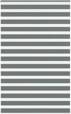 Produktbild von "2024"Moderne Zebrarollo Dunkelgrau 150x200 cm Stoffbreite 145,9 cm Polyester - Rollos DE281657