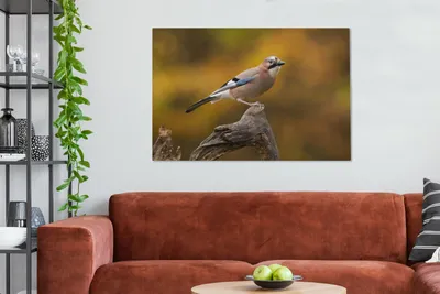 Obrázok produktu pre MuchoWow® - Plátno - Vták - Vetva - Sojka, nástenná maľba, nástenné dekorácie obrazy obývacia izba, 120x80cm