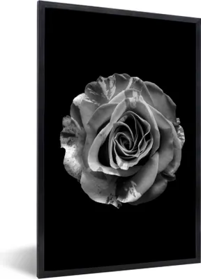 Produktbild von MuchoWow® Gerahmtes Poster Blumen - Rose - Schwarz - Weiß - Botanisch 40x60 cm - Poster mit Schwarzem Bilderrahmen Wandposter Rahmen Foto Bilder - Papierdruck - Wandbilder