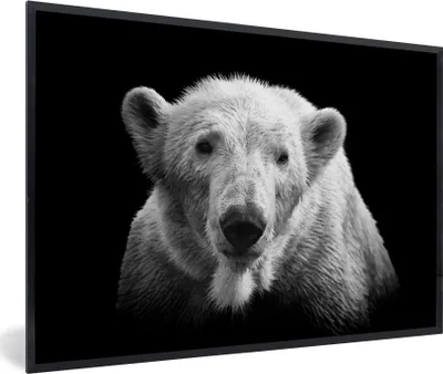 Produktbild von MuchoWow® MuchoWow® Gerahmtes Poster Porträt Eisbär auf schwarzem Hintergrund in schwarz und weiß 90x60 cm - Poster mit zchwarzem Bilderrahmen - Fotorahmen - Foto-Plakat