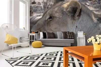 Produktbild von Vlies Fototapete LÖWIN-PORTRÄT 375 x 250 cm (inkl. Kleister) - Vlies Tapete, Wandtapete, Wandbilder - Tapete für Wohnzimmer Schlafzimmer, Büro, Küche - Montagefertig