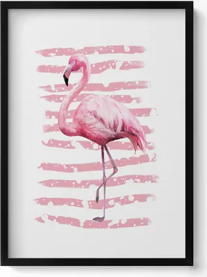 Produktbild von Flamingo– Wandbild mit Rahmen – Gerahmtes Bild  – Wanddekoration – 50x70 cm –  Schwarz Rahmen