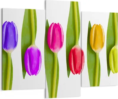 Produktbild von Bild auf Leinwand - Leinwandbild - Tulpe Blume Garten Komposition - 130x100cm - Wand Bild - Wanddeko - Leinwanddruck - Bilder - Kunstdruck - Leinwand bilder - Wandkunst - CB130x100-2360