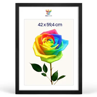 Produktbild von MG Design Bilderrahmen Schwarz A2 42x59,4 cm - Posterrahmen Echtholz mit Acrylglas, stabile Wandaufhängung, hoch/quer