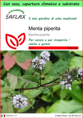 Immagine prodotto di SAFLAX Garden to go - Menta piperita - 300 semi - Mentha