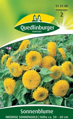 Produktbild von Sonnenblume, Niedrige Sonnengold