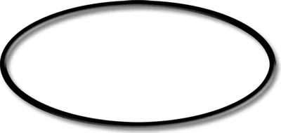 Obrázok produktu pre SunSun náhradný diel pre bazénové čerpadlo O-krúžok 3, filtračný systém 550 W, filtračné čerpadlo 13000 l/h, bazénové čerpadlo s plavákovým spínačom, robustné čerpadlo pre bazén