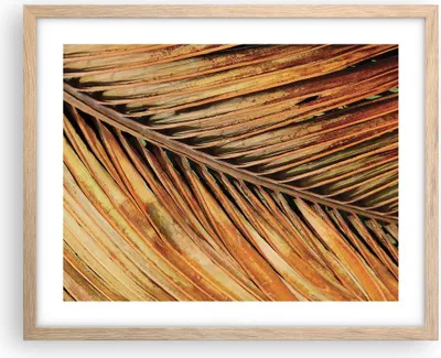 Produktbild von Gerahmtes Poster - Rahmen in heller Eiche - Orange Blatt Tropisch - 50x40 cm - Wand Bild - Wanddeko - Wandbilder - Kunstposter - Wandposter - Bilderrahmen - Bilder - Kunstdruck - P2NAA50x40-4876