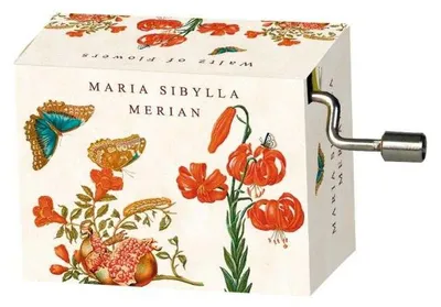 Produktbild von Flasneta Maria Sibylla Merian, Fridolin