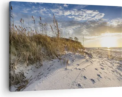 Produktbild von Bild auf Leinwand - Leinwandbild - Einteilig - Sand Gras Meer - 70x50cm - Wand Bild - Wanddeko - Wandbilder - Leinwanddruck - Bilder - Wanddekoration - Leinwand bilder - Wandbild - AA70x50-4781