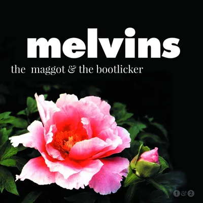 Obrázek produktu pro Melvins: The Maggot & The Bootlicker (White + Doublemint Green Vinyl)