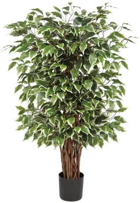 Obrázek produktu pro Umělý strom Benjaminificus 91 cm, dekorace s dřevěným kmenem do interiéru