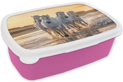 Produktbild von KitchenYeah® Lunchbox Brotzeit Brotdose 17x11 cm Pferde - Wasser - Strand - Tiere Kinder Brotzeitdose - Lunchpaket - Brotkasten  - Sandwich Box