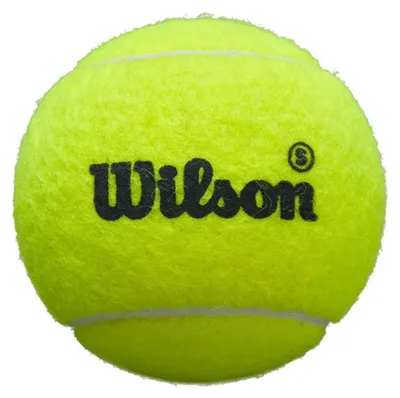 Immagine prodotto di Palloni Wilson WR8909601X1