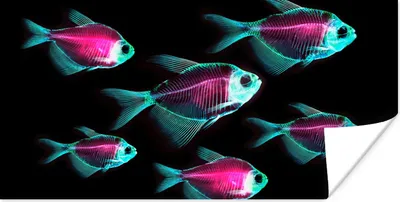 Produktbild von MuchoWow® Poster Fisch - Lila - Blau 160x80 cm - Foto Poster