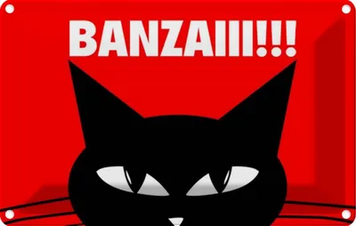 Produktbild von vianmo Blechschild 20x30 cm Katze Banzaiii!!! Tier Haustier