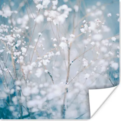 Produktbild von MuchoWow® Poster Äste - Schnee - Winter - Natur - Botanisch 50x50 cm - Wohnzimmerdekoration