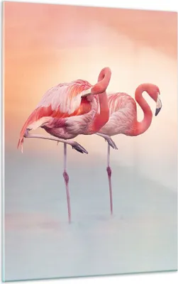 Produktbild von Bilder auf glas - Einteilig - Flamingos Exotik Vögel - 50x70cm - Glasbilder - Wandbilder - Bilder - zum Aufhängen bereit - Wanddekoration aus Glas - Glas Bilder - Wandbild auf Glas - GPA50x70-5044