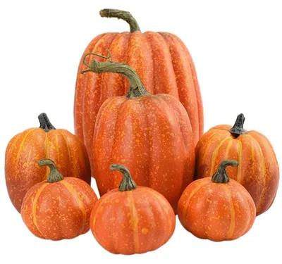 Obrázok produktu pre Dekoratívna sada 7 miniatúrnych tekvíc – jesenná a halloweenská dekorácia
