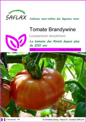 Image de SAFLAX  - Tomate Brandywine - 10 graines - Lycopersicon