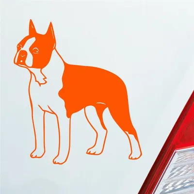 Produktbild von Auto Aufkleber Boston Terrier Hund Dog Animal 12x10 cm Orange Sticker Heckscheibenaufkleber