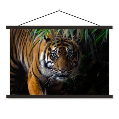 Produktbild von MuchoWow® Textilposter Tiger - Blätter - Dschungel - Tiere - Wild 90x60 cm mit schwarzem Rahmen - Aufhängungssatz