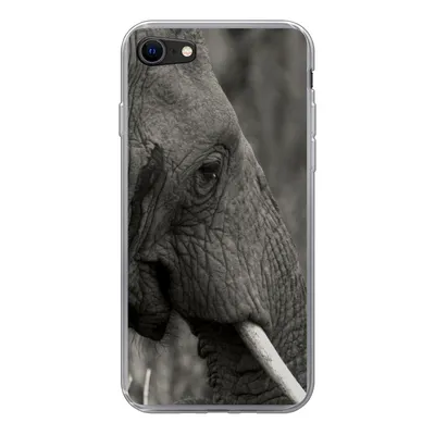 Produktbild von MuchoWow® Handyhülle Schutzhülle Hülle für iPhone SE 2020 Elefant - Tiere - Schwarz - Weiß Silikon Softcase Handy Hülle - Kartenbesitzer