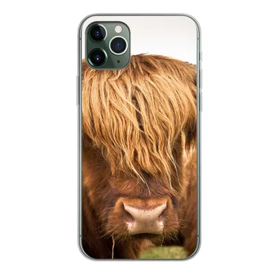 Produktbild von MuchoWow® Handyhülle Schutzhülle Hülle für iPhone 11 Pro Max Schottische Highlander - Braun - Gras Silikon Softcase Handy Hülle - Schutz