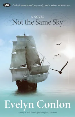 Produktbild von Not the Same Sky