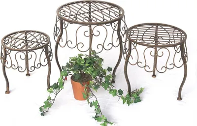 Three metal plant stands of varying heights are arranged on a white background, with a potted plant and ivy vines placed in front of the middle stand.