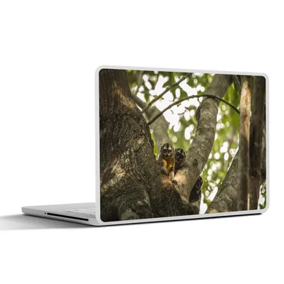 Produktbild von MuchoWow® Laptop Aufkleber Sticker Cover Kleine Tiere in einem Baum 32.5x23.5 cm - Sticker für Laptop - Selbstklebend