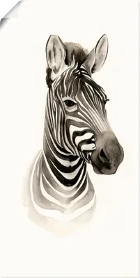 Produktbild von ARTland Poster Safari Porträt I Größe: 20x40 cm