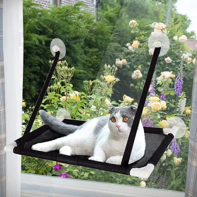 Produktbild von Fenster Katzenhängematte für Katzen bis 23 kg | extra Stabiler Fensterliegeplatz für Katzen | Katzen Fensterliege | Katzenliege Fenster Platz