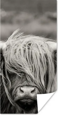 Produktbild von MuchoWow® Poster Schottischer Highlander - Kuh - Tiere - Schwarz-Weiß - Ländlich 60x120 cm - Wandschmuck