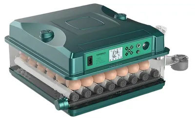 Zdjęcie produktu dla Inkubator do jaj, 5 trybów inkubacji, automatyczna regulacja temperatury, 36 jaj