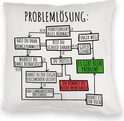Produktbild von Es gibt kein Problem! Flussdiagramm zur Problemlösung Kuschelkissen