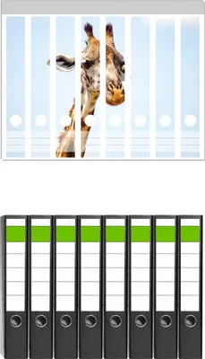 Produktbild von Wallario 8 Stück schmale Ordner inkl. Klebeetiketten mit Motive Nahaufnahme einer Giraffe -  Set mit Rückenschildern / Ordnerrücken Stickern