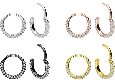 Produktbild von Ohrpiercing, Nasenpiercing, Septum Piercing Chirurgenstahl Segmentring Clicker KRISTALLRAND Schwarz Innendurchmesser: 8 mm