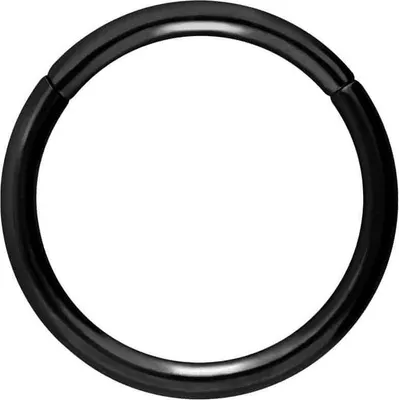 Produktbild von Ohrpiercing, Nasenpiercing, Septum Piercing Titan Segmentring Clicker Schwarz Innendurchmesser: 16mm + Stabstärke: 2mm
