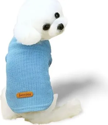 Image de Sweat-shirt en coton pour chien DadaGou - Bleu XL