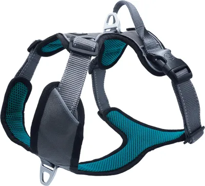 Produktbild von Petlando Outdoor Geschirr petrol L