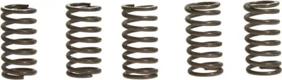Immagine prodotto di Kit 5 molle frizione EBC CSK065