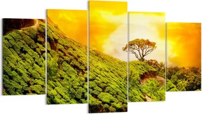 Produktbild von Bild auf Leinwand - Leinwandbild - Berg Baum Pfad Hügel - 160x85cm - Wand Bild - Wanddeko - Leinwanddruck - Bilder - Kunstdruck - Wanddekoration - Leinwand bilder - Wandkunst - EA160x85-2715